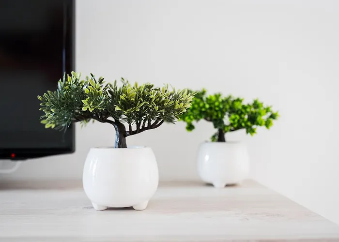 Domus Otello Hébergement de vacances